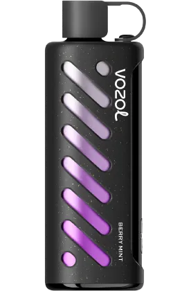 VOZOL Gear Shisha 25K puffs - Berry Mint