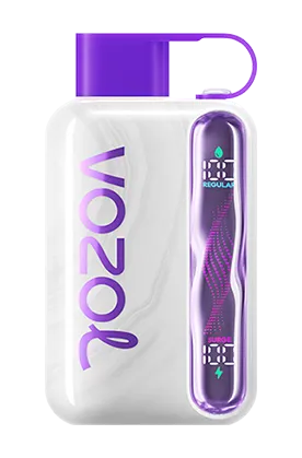VOZOL Star 40K PUFFS - Cherimoya Grapefruit Berries