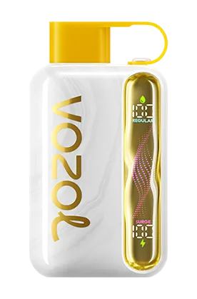 VOZOL Star 40K PUFFS - Mango Ice