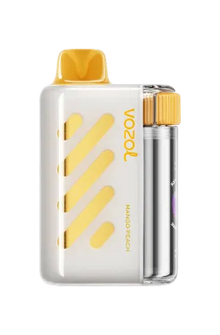 VOZOL Vista 40K PUFFS - Mango Peach