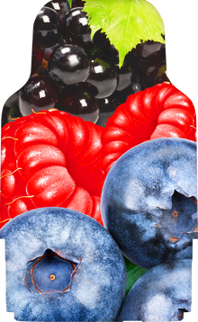 XLIM PREFILLED CARTRIDGE