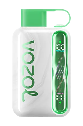 VOZOL Star 40K PUFFS - Watermelon Bubble Gum