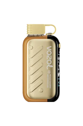 VOZOL GEAR ICE&SWEET disposable vape with Peach Mango Watermelon flavor, 50K puffs, 50mg salt nicotine.