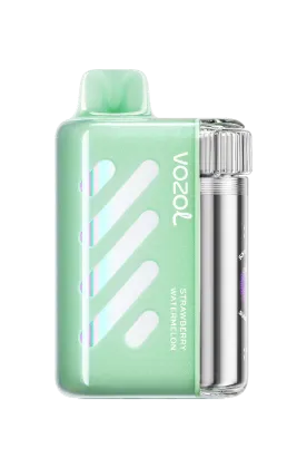 VOZOL Vista 40K Puffs disposable vape in Strawberry Watermelon flavor from VOZOL VISTA SERIES, showing the sleek device.